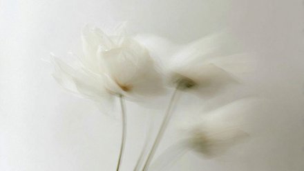 바탕질을 촉촉하게~ 얼굴살 관리 요령 4가지