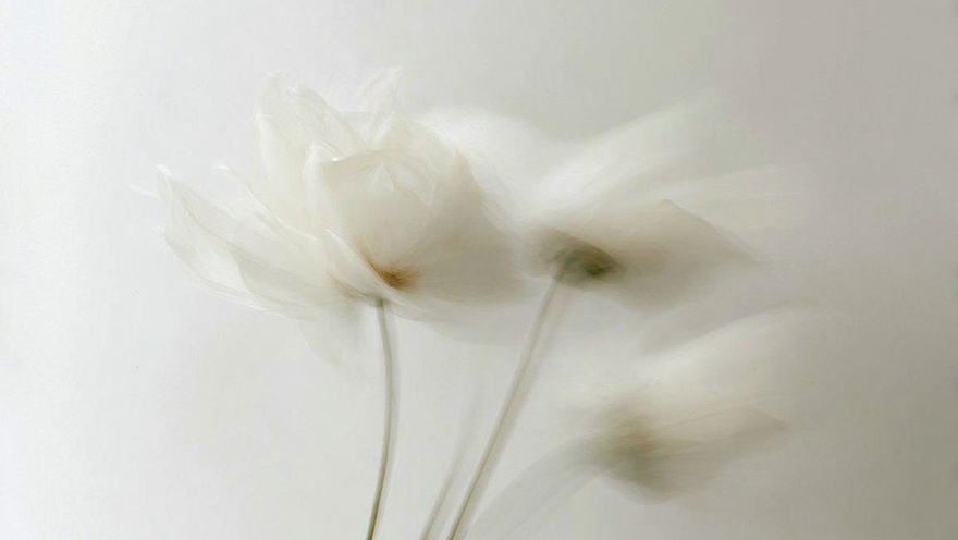 바탕질을 촉촉하게 얼굴살 관리 요령 4가지