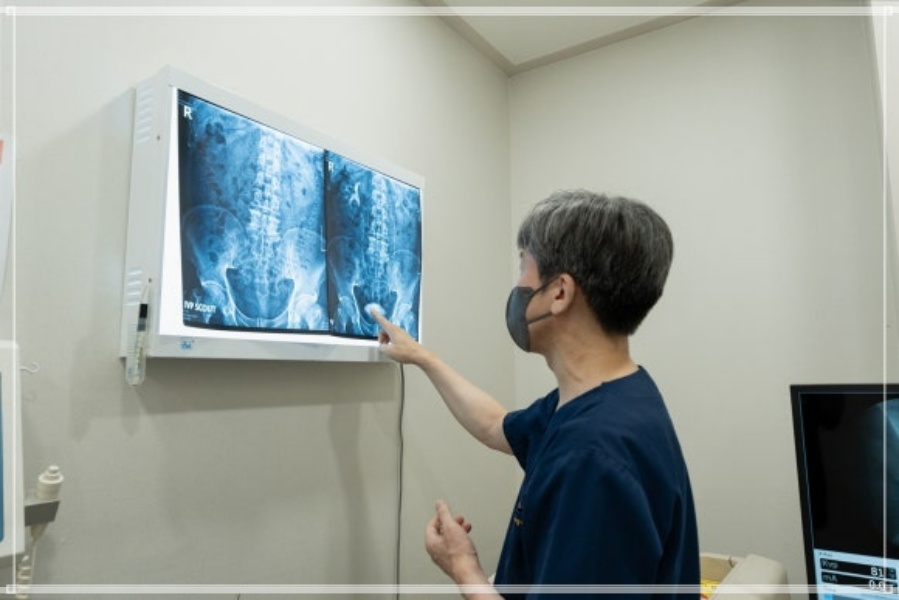 요로결석 자연배출 시기, 천안 요관내시경 결석 제거술이 필요한 경우는?