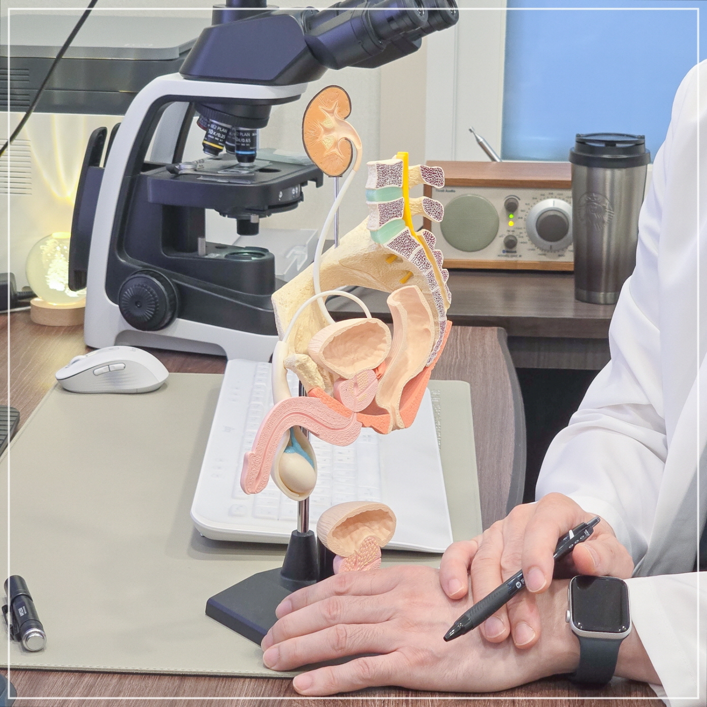 요로결석 쇄석술 후 통증 원인 설명
