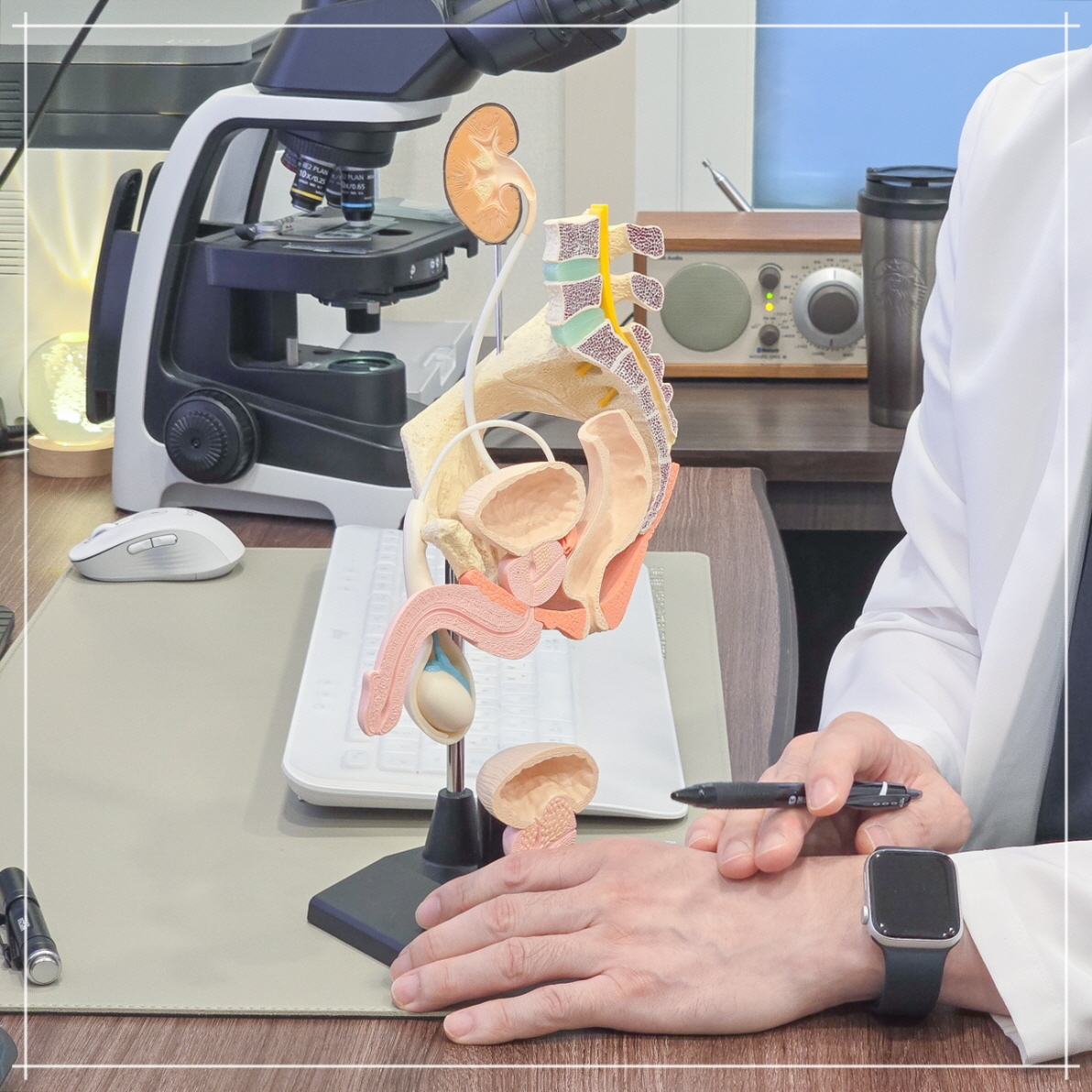 정관수술 통증 무도정관수술 장점 설명