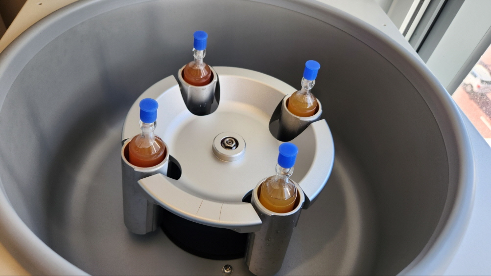 줄기세포 치료 시술 이미지